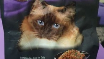 cachet cat food
