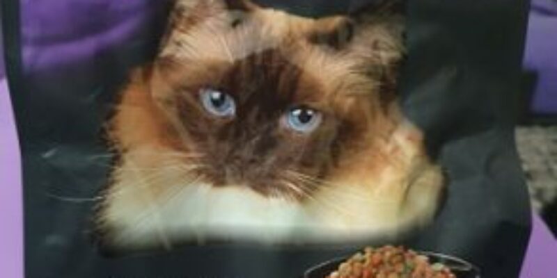 13 ALDI Cachet Cat Food Review