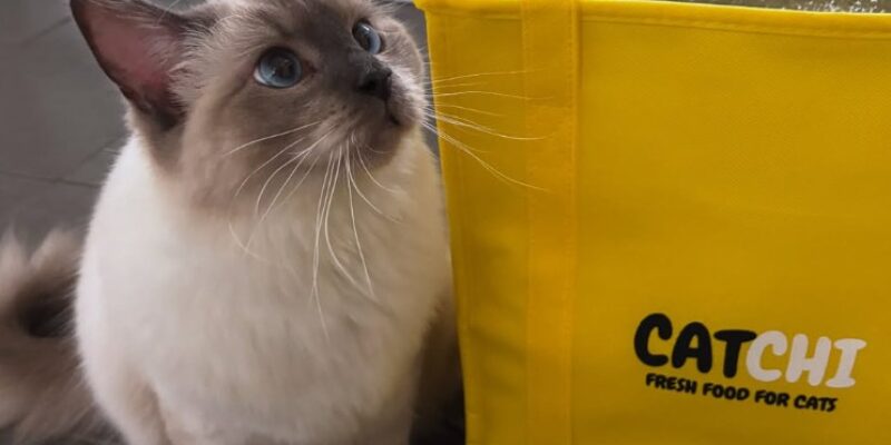 9 CatChi Cat Food Review