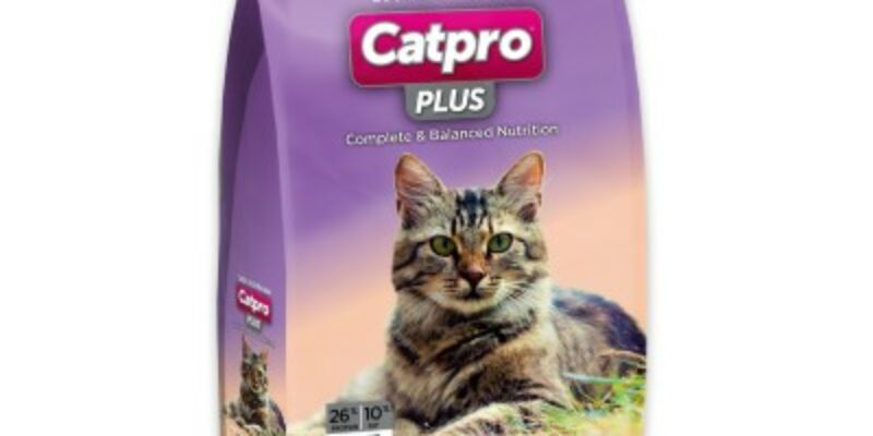 13 Catpro Plus Cat Food Review