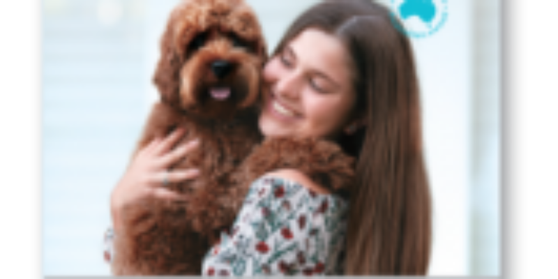 12 Cherish Dog Food Review