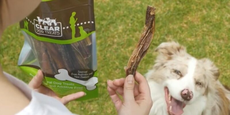 13 Clear Dog Treats Review