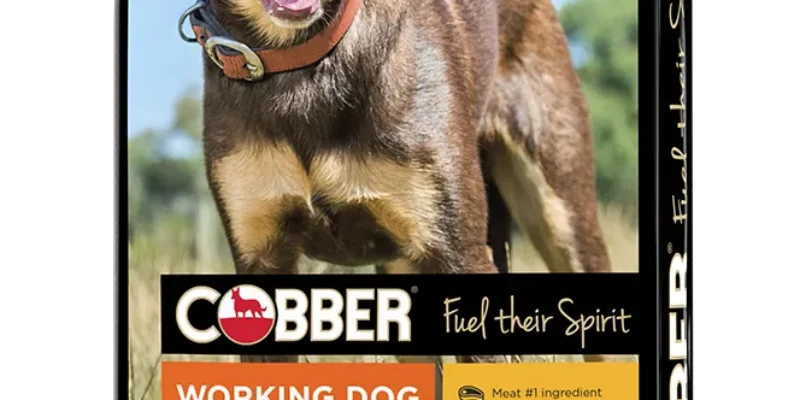 10 Cobber Working Dog Review