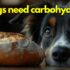 How to Calculate Carbohydrates in a Pet Food
