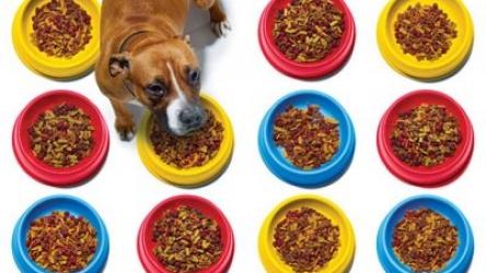 10 Dog food brands to avoid