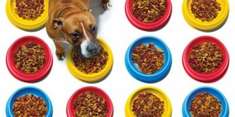13 Dog food brands to avoid