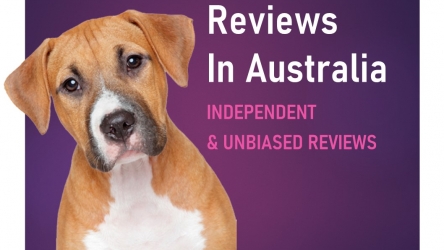25 All Dog Food Reviews in Australia