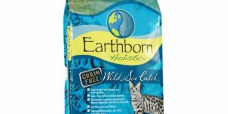 9 Earthborn Holistic Grain Free Cat Food Review