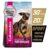 Eukanuba Premium Performance Sport Adult Dry Dog Food