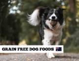 Grain Free Dog Food
