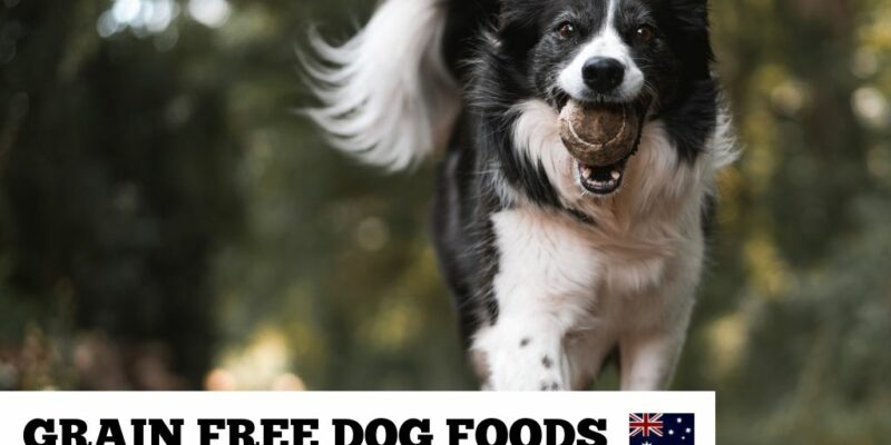 13 Grain Free Dog Food