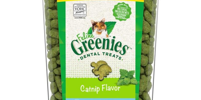 9 Greenies Dental Treats Review