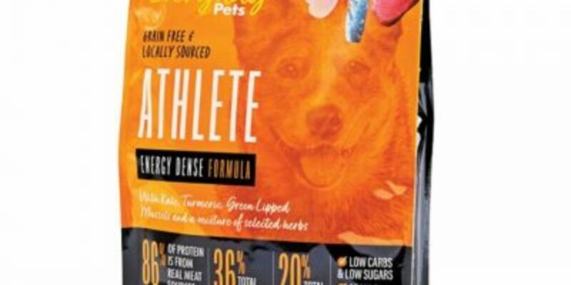 11 Healthy Everyday Pets Dog Food Review