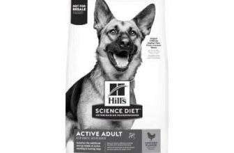 Hill’s Science Diet Dog Food Review