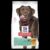 Hills Science Diet Adult Perfect Weight Large Breed Chicken Dry Dog Food