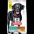 Hills Science Diet Adult Perfect Weight Large Breed Joint Support Chicken Recipe Dry Dog Food