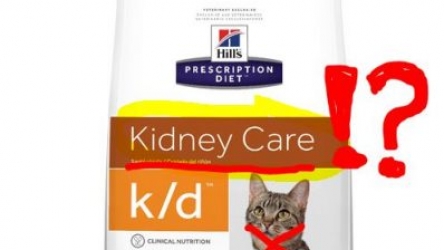 20 Hill’s Prescription Diet Cat Food Review