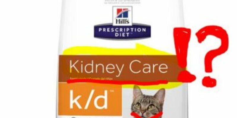 9 Hill’s Prescription Diet Cat Food Review