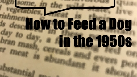 10 How to Feed a Dog – 1950s
