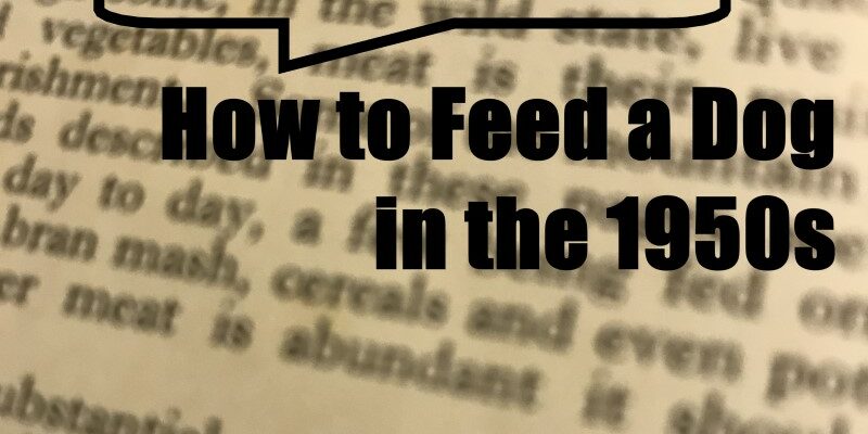 9 How to Feed a Dog – 1950s