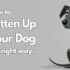 Dog food brands to avoid