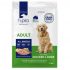 LifeWise Dog Food Review