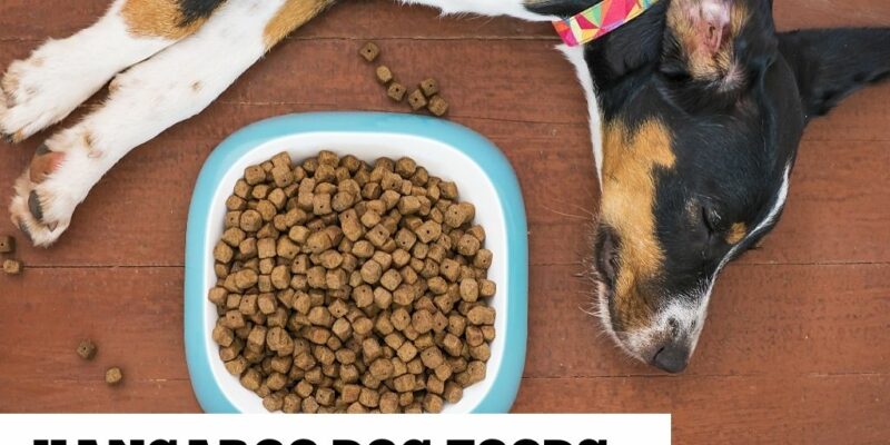13 Hey Roo! Kangaroo dog foods
