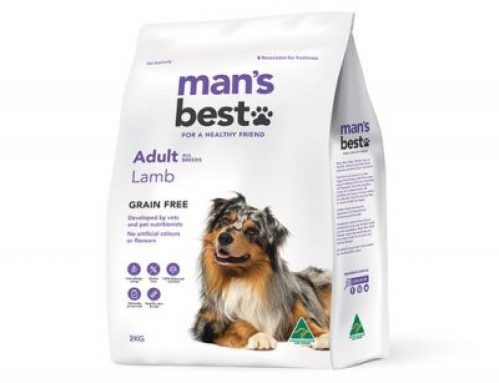 Man’s Best Dog Food Review