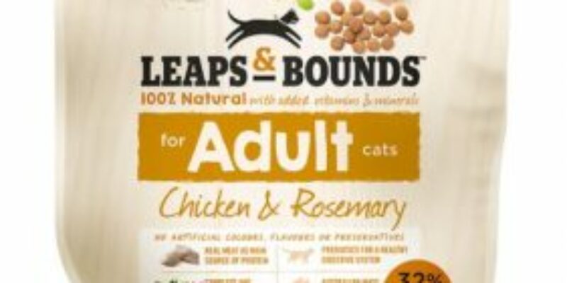 13 Leaps & Bounds Cat Food Review