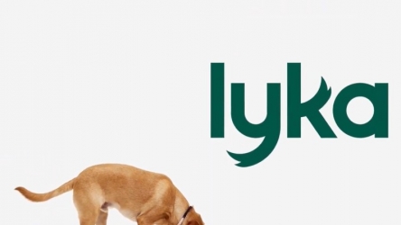 15 Lyka Dog Food Review