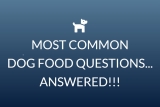 Most common dog food questions – ANSWERED!