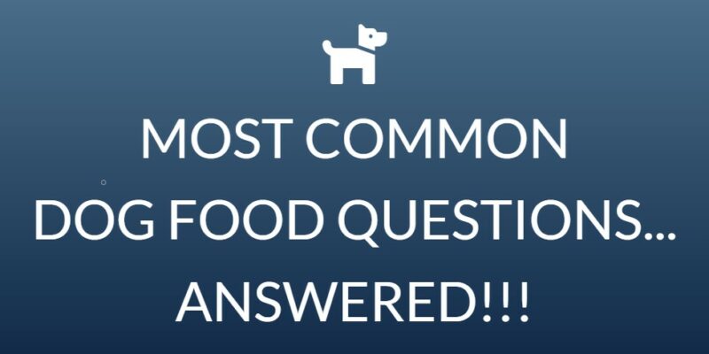 14 Most common dog food questions – ANSWERED!
