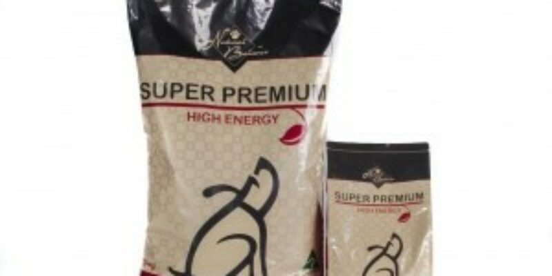12 Natural Balance Dog Food Review
