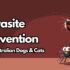 Why Chia Seeds are great for Dogs!