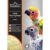 Passwell Bird Rearing Food
