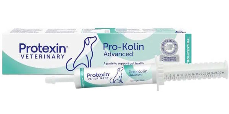 11 Pro-Kolin Probiotic Paste for Dogs & Cats