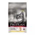 Hill’s Science Diet Cat Food Review