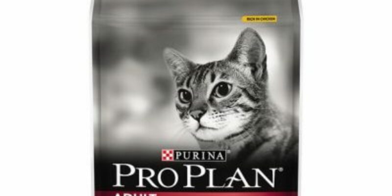 13 Pro Plan Cat Food Review
