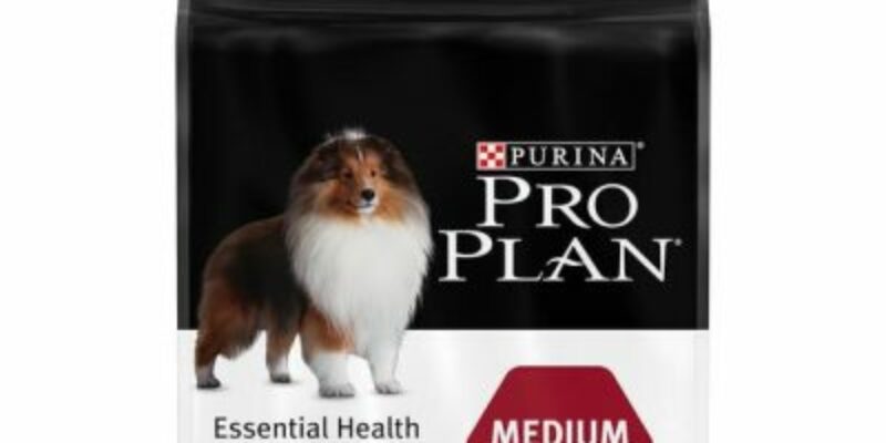 10 Pro Plan Dog Food Review
