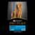 Pro Plan Adult Large Breed Chicken Dry Dog Food