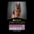 Pro Plan Adult Performance Chicken Dry Dog Food