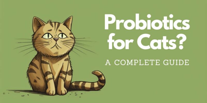 9 Probiotics for Cats