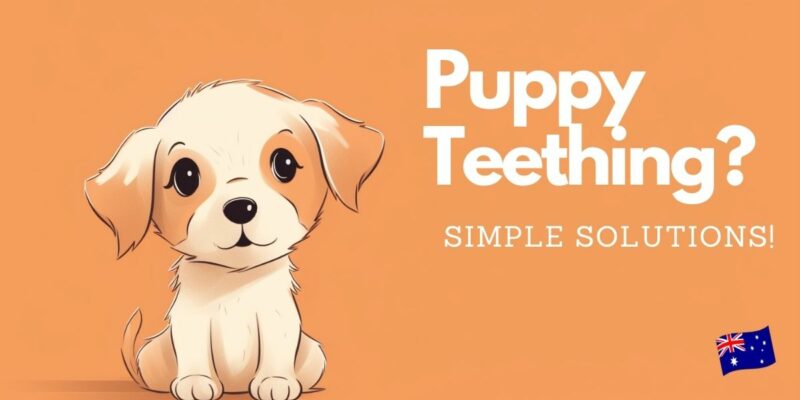 14 Puppy Teething: Simple Solutions