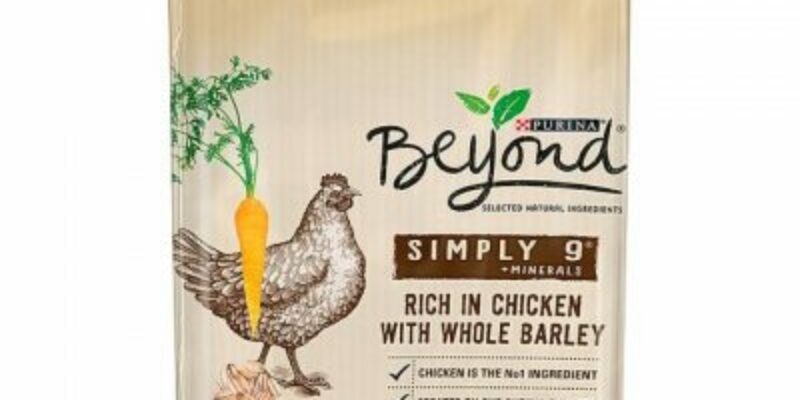 10 Purina Beyond Dog Food Review