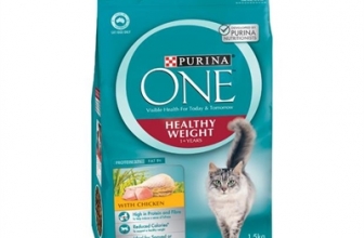 Purina One Cat Food Review