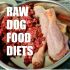 Proudi Dog Food Review