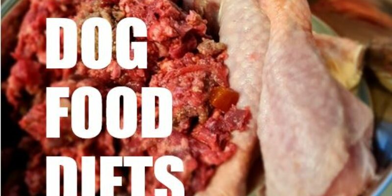 12 Best Raw Dog Food (Australia)