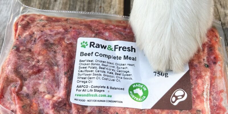 11 Raw & Fresh Dog Food Review