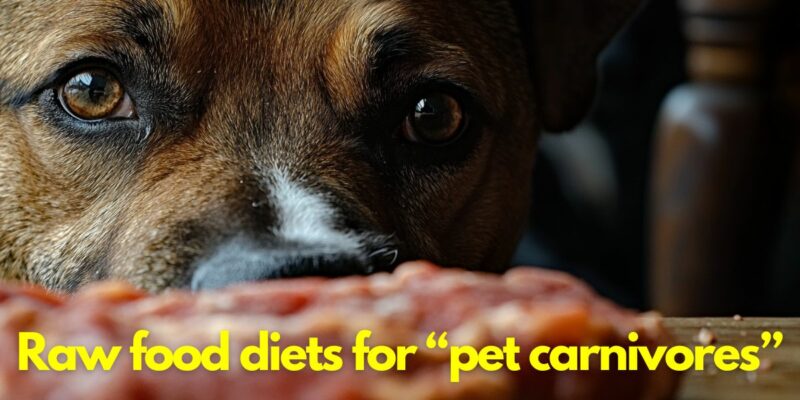 12 Raw Food Diet For Dogs: Made Simple!
