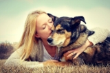 Rescuing a Dog – A Complete Guide